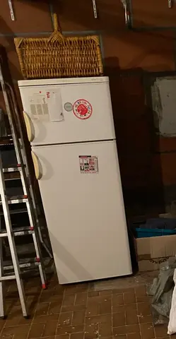 frigo