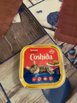 pâté pour chat