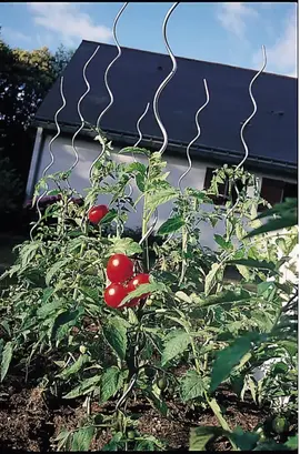 20 Tuteurs tomate spirale