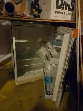 Frigo Bosch