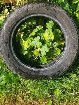 pneu firestone 155/65R14 75T