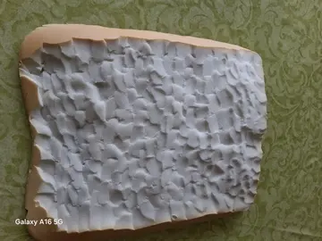 Morceau de mousse