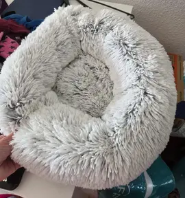 coussin petit chien ou chat