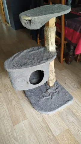 Arbre à chat