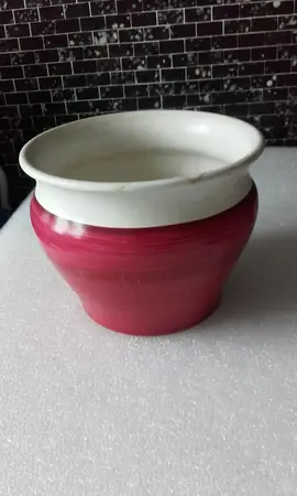 POt bicolore