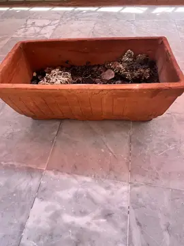 jardiniere