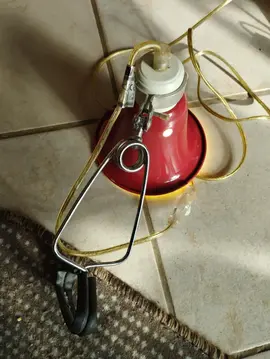 lampe de bureau avec pince