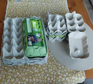 Lot de boîtes à œufs de taille diverse