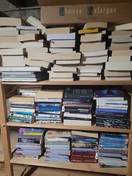 lot de livres de sciences fiction et fantasy