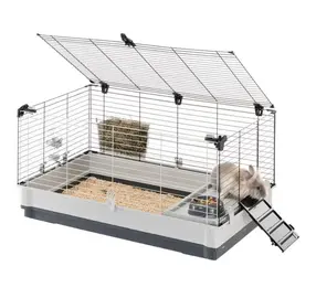 cage pour rongeur