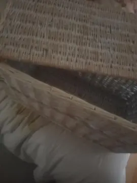rangement en osier