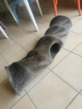 Tunnel pour chat