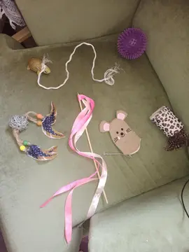 Lot jouets pour chat