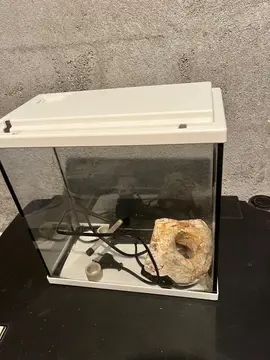 petit aquarium