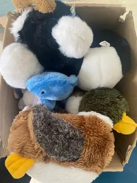 Divers habits / chaussures / peluches bébé