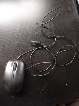 Souris filaire