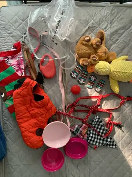 accessoires pour le chien