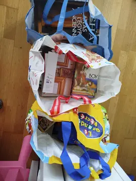 3 gros sacs de livres