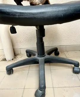 tabouret à roulettes