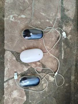 souris Apple