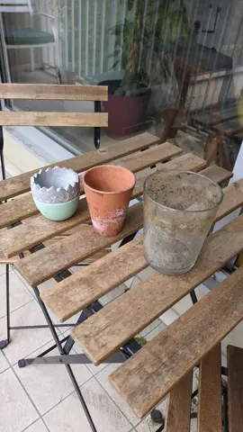 pots plantes