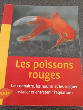 les poissons rouges