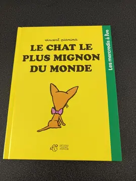le chat le plus mignon du monde