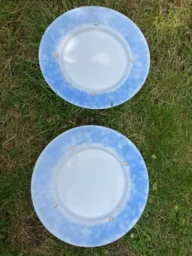 2 assiettes arcopal