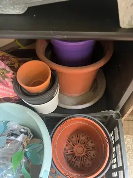 pot pour plante