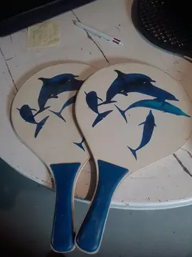 raquettes