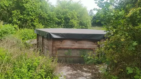 Piscine en bois