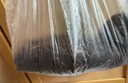 terre venant de plante en pot (500g environ)