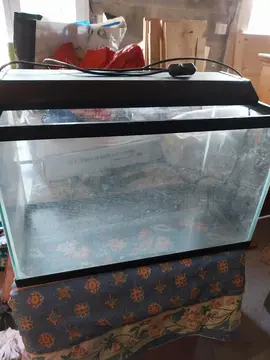aquarium
