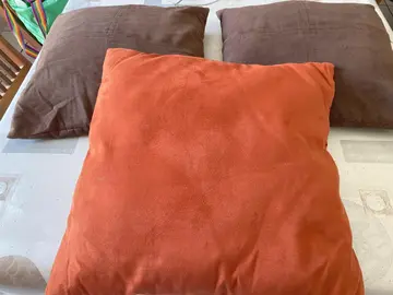 LOT DE 3 COUSSINS
