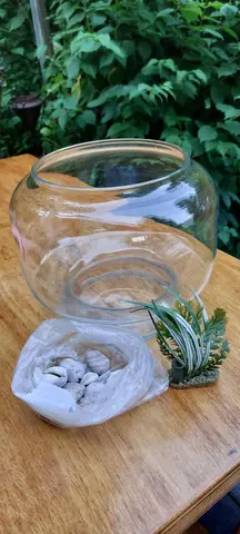petit aquarium