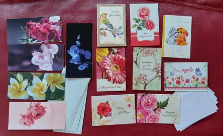 cartes colorées et enveloppes (lot 2)