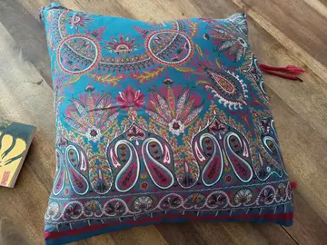 Coussin en plumes