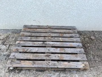 1 palette en bois