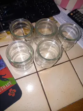lot de 5 pot de yaourt en vers