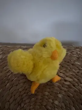 peluche