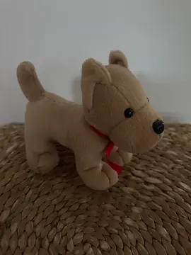 peluche