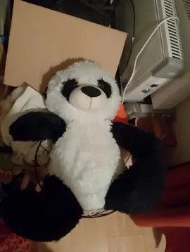 peluche panda
