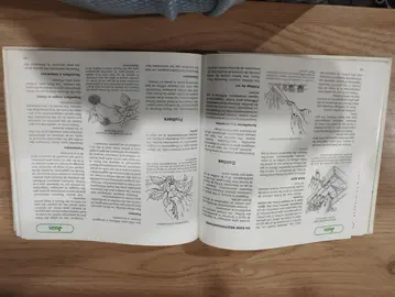 LIVRE, CALENDRIER DU JARDINIER