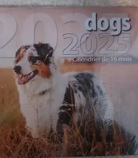 calendrier 2025 dog