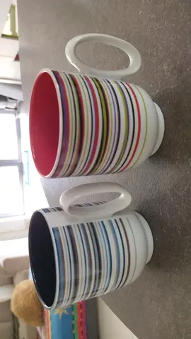 tasses guy degrenne