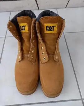 caterpillar veritables T40