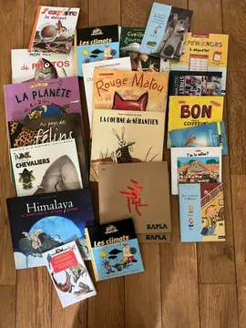 Lot de 20 livres pour enfants