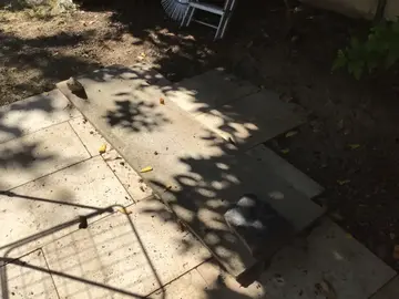 Béton