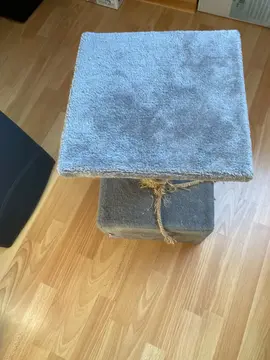 Arbre à chats