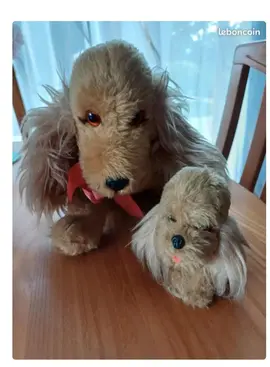 cocker et son petit